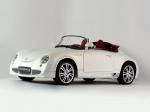 PGO Cevennes 2008 года (WW)